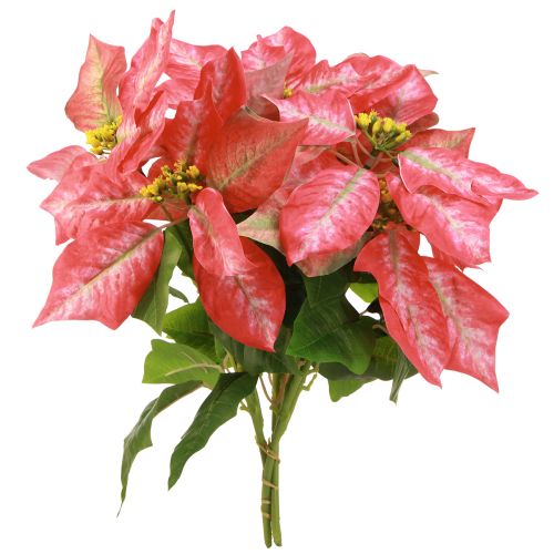 Artikel Konstgjord Julstjärna Röd Rosa L35cm 6st 2 klasar