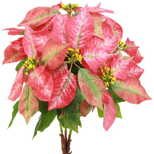 Artikel Julstjärna röd rosa konstgjord julstjärna L53cm