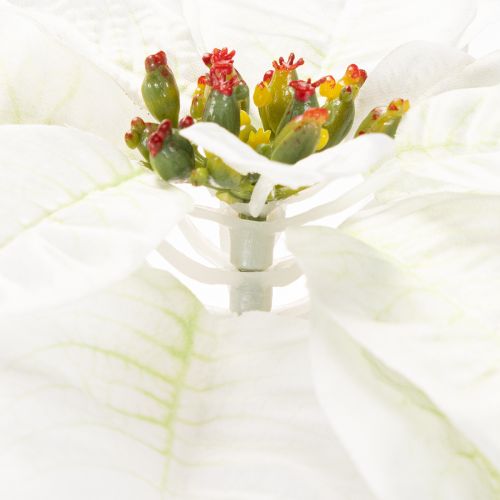 Konstgjord vit julstjärna, stor blommande grendekoration, 65 cm, 2 stycken | Floristik24.se
