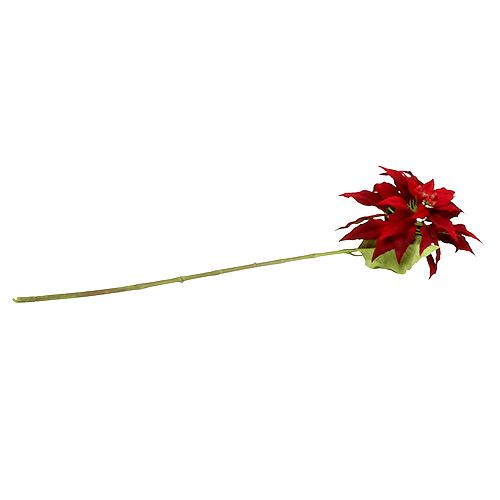 Floristik24 Julstjärna röd 70cm