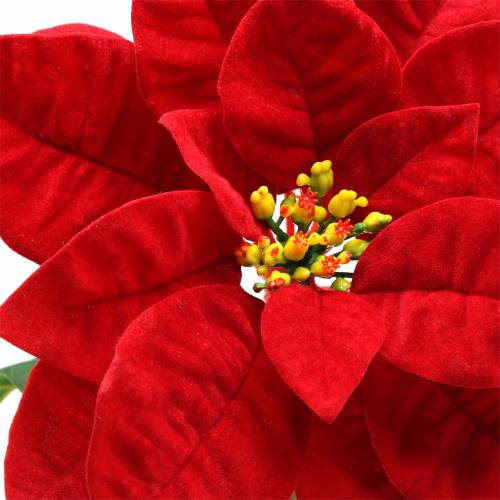 Floristik24 Julstjärna konstblomma röd 67cm