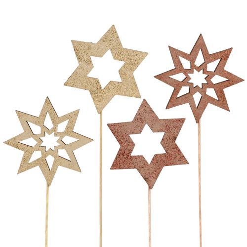 Julstjärna blomproppar brons guld Ø5,5cm 18 st