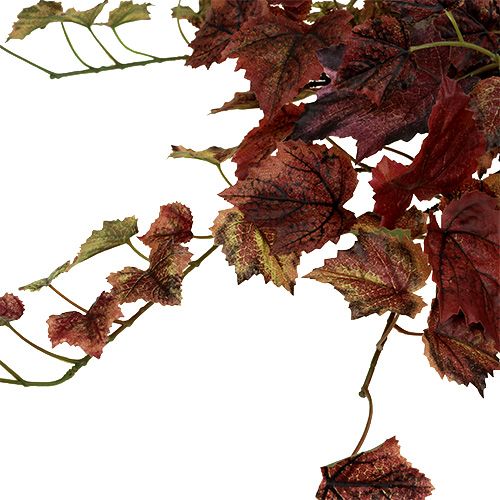 Floristik24 Vingrävhängare grön, bordeaux 67cm