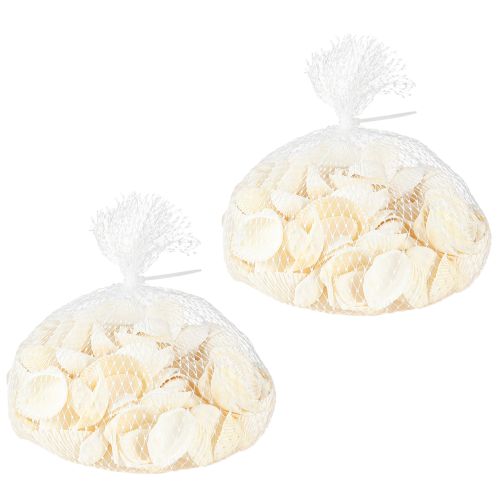 Floristik24 White Shells Dekorativa Cockles 2-3,5cm 300g × 2st