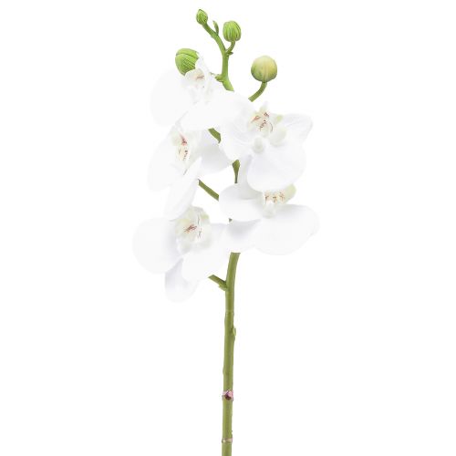 Floristik24 Vit konstgjord orkidé Phalaenopsis Real Touch 32cm