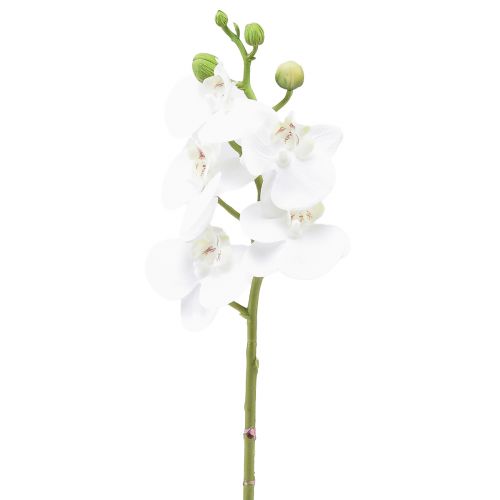Artikel Vit konstgjord orkidé Phalaenopsis Real Touch 32cm