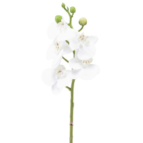 Vit konstgjord orkidé Phalaenopsis Real Touch 32cm