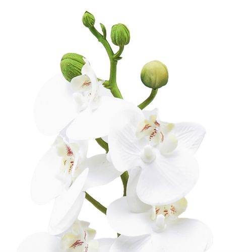 Artikel Vit konstgjord orkidé Phalaenopsis Real Touch 32cm