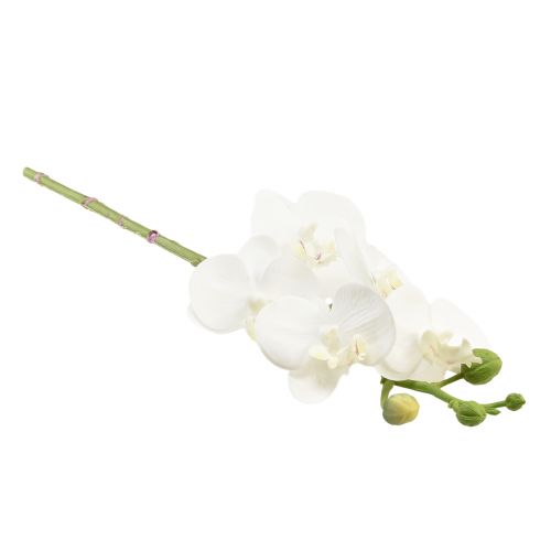 Artikel Vit konstgjord orkidé Phalaenopsis Real Touch 32cm