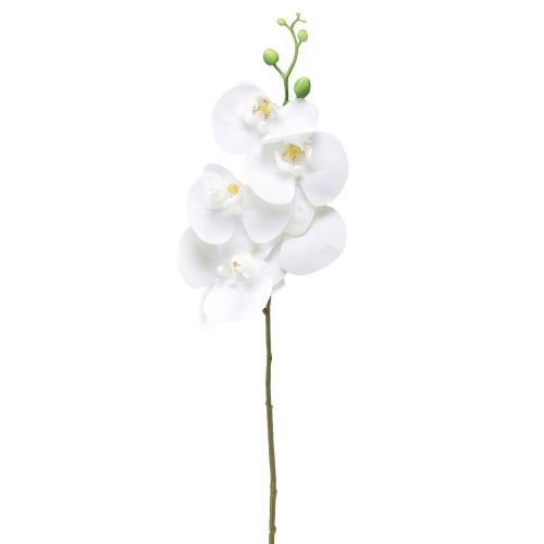Artikel Vit konstgjord orkidé Phalaenopsis Real Touch 85cm
