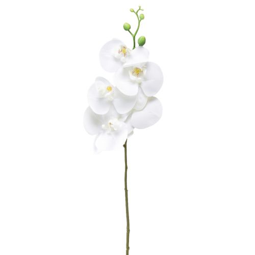 Floristik24 Vit konstgjord orkidé Phalaenopsis Real Touch 85cm