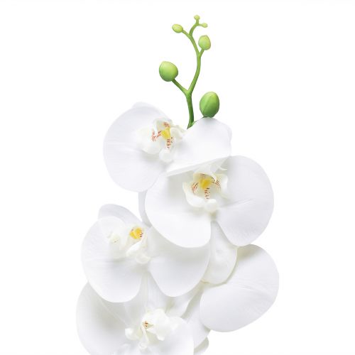 Artikel Vit konstgjord orkidé Phalaenopsis Real Touch 85cm