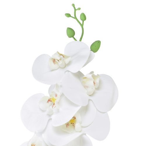 Artikel Vit konstgjord orkidé Phalaenopsis Real Touch H83cm