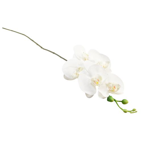 Artikel Vit konstgjord orkidé Phalaenopsis Real Touch H83cm