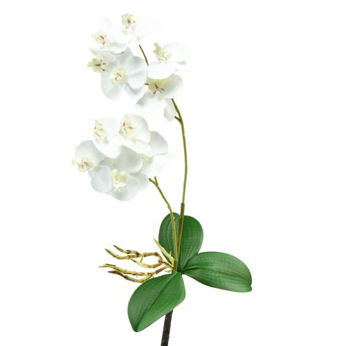 Floristik24 Vit orkidé på Pick Artificiell Phalaenopsis Real Touch 39cm