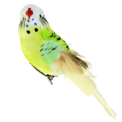 Floristik24 Budgie på klämma grön 13cm 6st