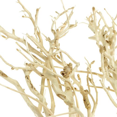 Artikel White Bush blekt 5st