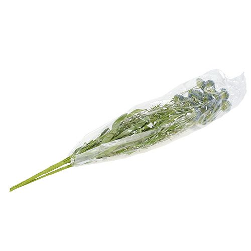 Floristik24 Ängsblommor blå L65cm 3st