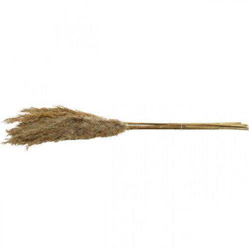Artikel Torr grässtarr naturlig torr dekoration 75cm 10 st