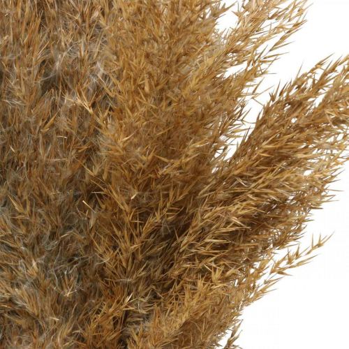 Artikel Torr grässtarr naturlig torr dekoration 75cm 10 st