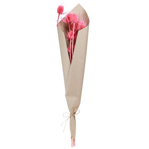 Artikel Wild cardoon torr dekoration kort tistel 53cm 10 huvuden 3 st