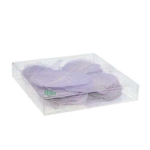 Floristik24 Pilblad skelettiserade ljuslila 200 st.