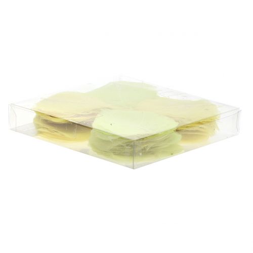 Floristik24 Pilblad skeletonized gul mix 200 st