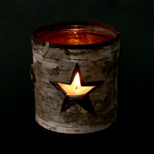 Floristik24 Vindljusstjärna med björk Ø10,5cm H11cm 1p