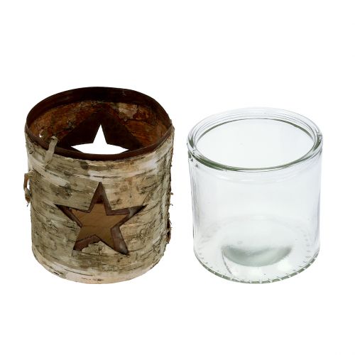 Floristik24 Vindljusstjärna med björk Ø10,5cm H11cm 1p