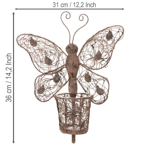 Metalllykta, väggdekoration, fjäril, rostfri yta, 36,5 cm | Floristik24.se
