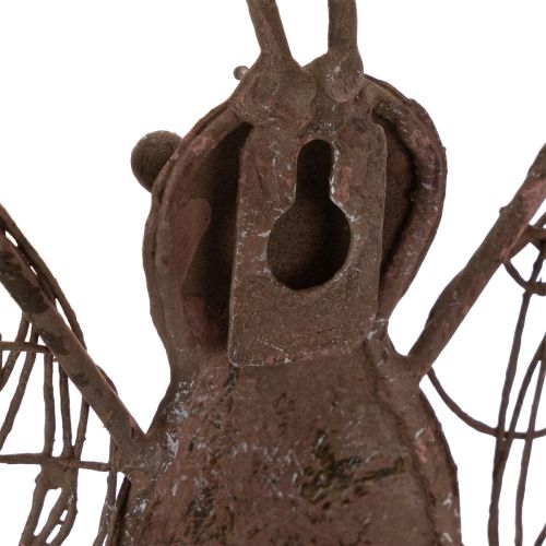 Metalllykta, väggdekoration, fjäril, rostfri yta, 36,5 cm | Floristik24.se
