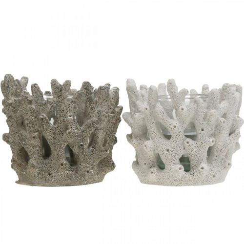 Floristik24 Lykta med glas i koralldesign maritim dekoration vit konstgjord Ø9,5cm 2st