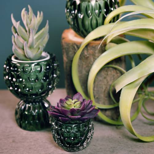 Floristik24 Glaslykta mörkgrön Ø11,5cm H9cm 1st