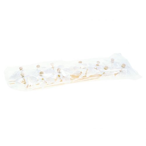 Floristik24 Väderkvarn Mini Vit Ø9cm 12st