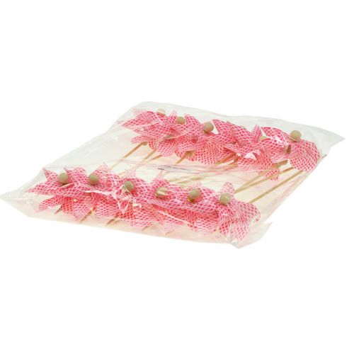 Floristik24 Väderkvarn Mini Rödvit Ø9cm 12st