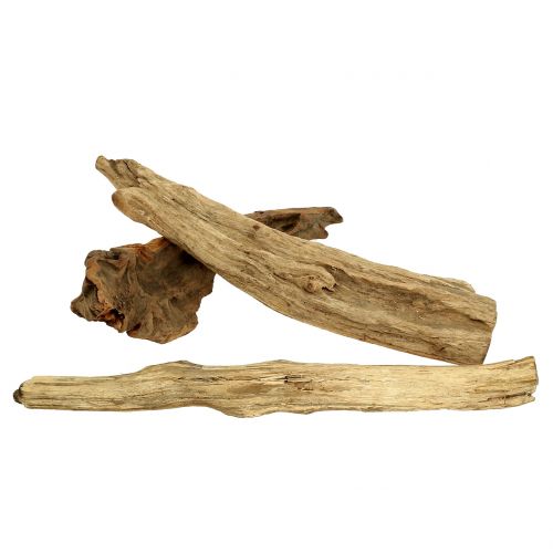 Floristik24 Rotträbitar naturlig 500g