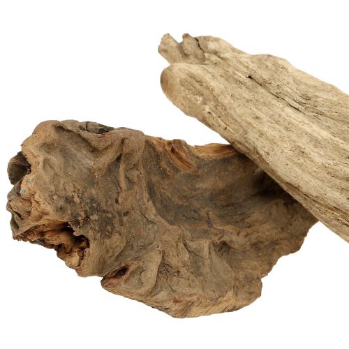 Floristik24 Rotträbitar naturlig 500g