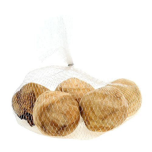 Floristik24 Rotklump gran ved Ø7cm natur 5 st