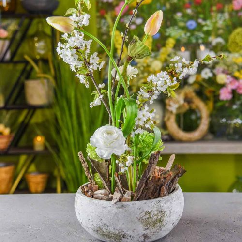 Artikel Rotträ deco trä tvättad vit, natur 4-12cm 450g