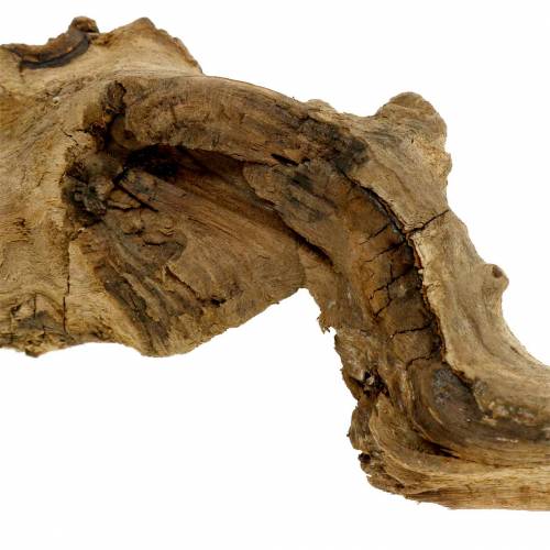 Floristik24 Dekorativ rot naturlig 1kg
