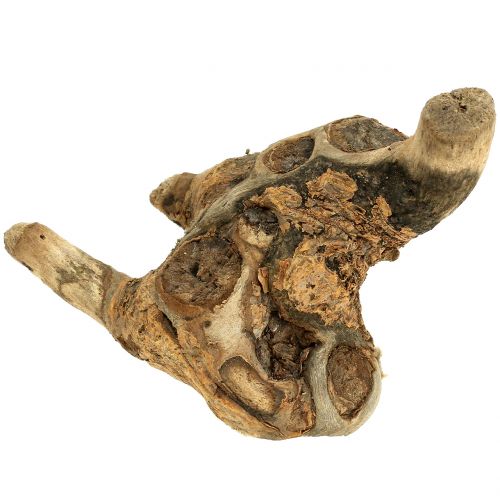 Floristik24 Rotbitar naturliga 500 g