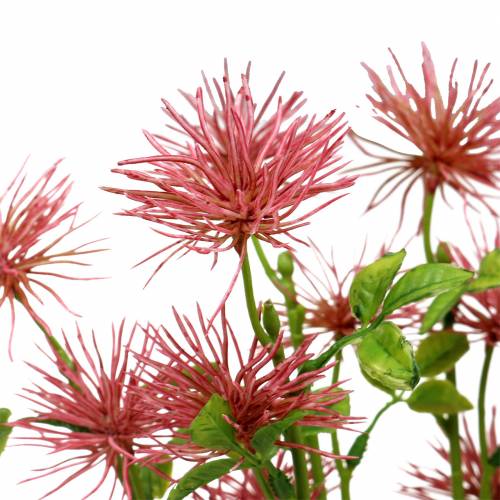 Floristik24 Xanthium sidenblomma mörkrosa 53cm 6st