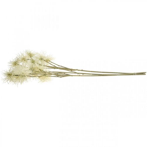 Artikel Xanthium konstgjord blomkräm höstdekoration 6 blommor 80cm 3st