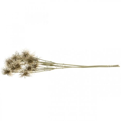 Artikel Xanthium konstgjord blomma höstdekoration 6 blommor kräm, brun 80cm 3st