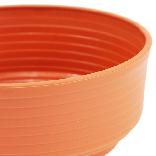 Artikel Z-skål plast Ø 16cm - 22cm 10 st