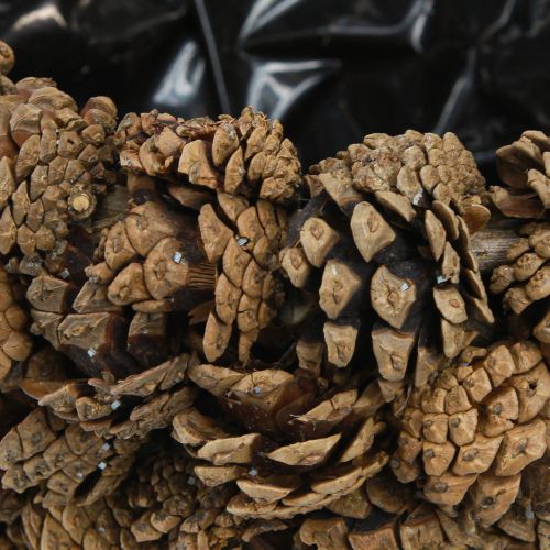 Artikel Kotkorg växtkorg kottar naturlig Ø33cm H17cm