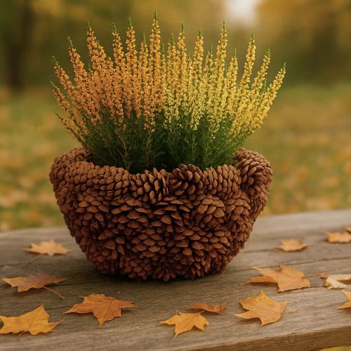 Artikel Kotkorg växtkorg kottar naturlig Ø33cm H17cm