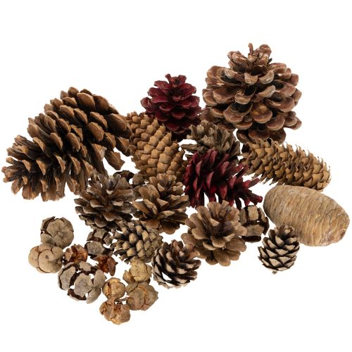 Kottmix natur 400g för pyssel och adventsdekoration köpa | Floristik24.se