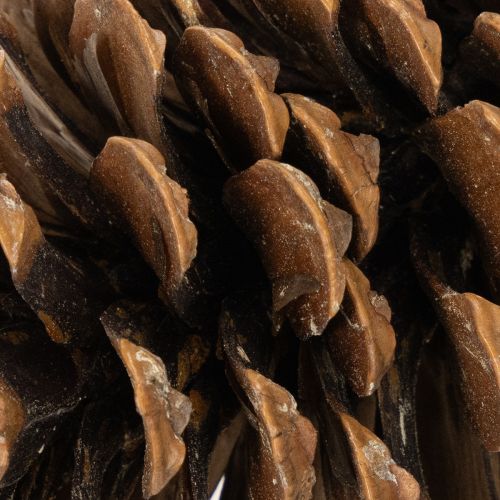 Kottmix natur 400g för pyssel och adventsdekoration | Floristik24.se