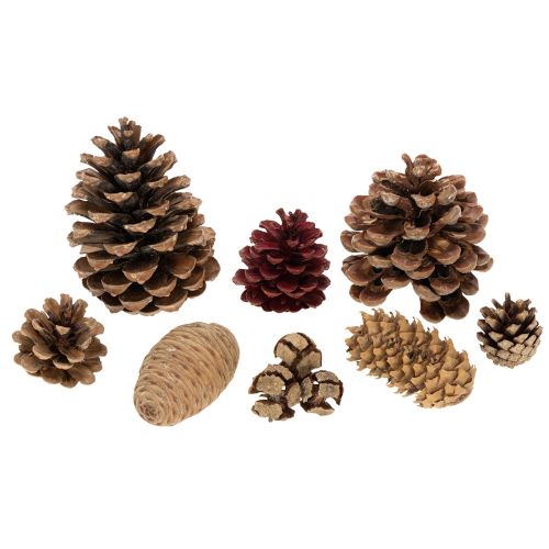 Kottmix natur 400g för pyssel och adventsdekoration | Floristik24.se